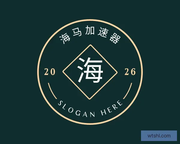 关于海马加速器破解版